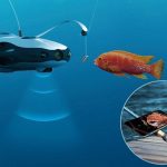 Powerray—an Underwater Drone for Marine Exploration and Fishing